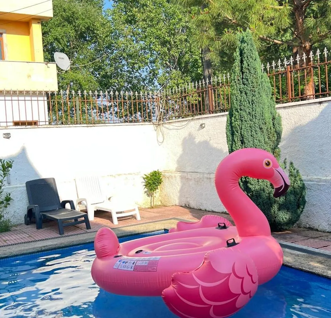 Cozy Little Holiday House Shkoder Apartment